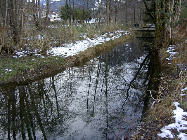 bild (15)
